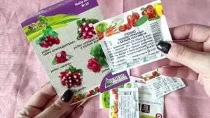 Сажу редис в теплицу.mp4