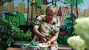 Вредители Сада Муравьи и Медведка ✔️ Советы от #Хитсад