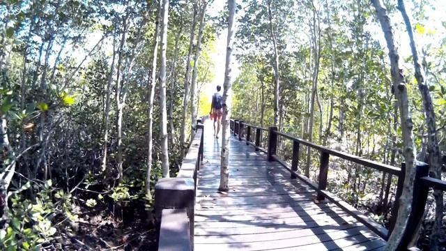 Мангровый лес (Pranburi Mangrove Forest Park) и пустынные пляжи в Хуа Хине (Таиланд) смотреть онлайн