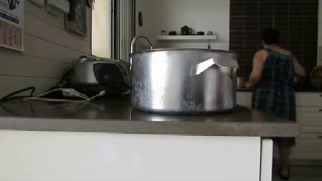 как вырастить орхидею фаленопсис, от А до Я смотреть онлайн