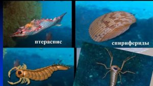 Развитие жизни в палеозойскую эру