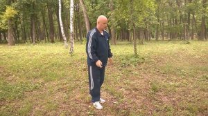 Тайцзи "Вонзить иглу в дно моря" и "Одиночный челнок"