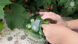 Бочковые огурцы, квашенные