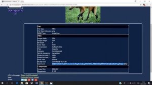CTF. Стеганография. Разбор заданий с метаданными.
