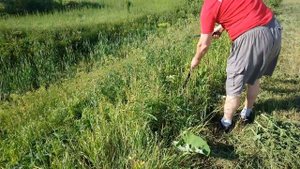 Гусак - весёлый тесак (ручные ножницы для травы Красная Звезда 3987. Стрижем и бреем, любой бурьян.