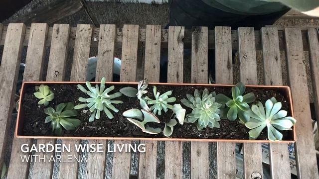 Garden Wise Living with Arlena Gardeners Supply Copper Planter смотреть онлайн