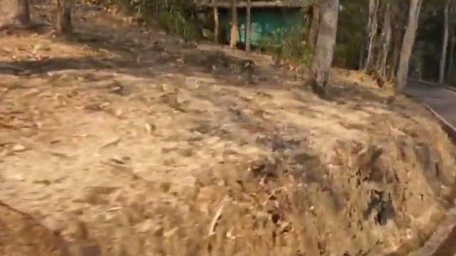 Зоопарк в Чиангмае, Таиланд. смотреть онлайн