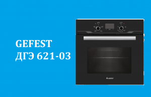 Газовый духовой шкаф GEFEST ДГЭ 621-03 - краткий обзор