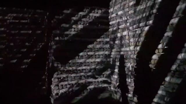 Ночь света в Гатчине 2017 смотреть онлайн