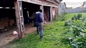 Косим траву газонокосилкой.