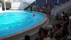 Дельфинарий в Коктебеле 2013 HD