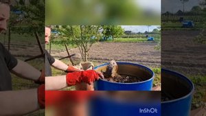 Перетапливаем старые рамки.