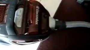 Electrolux ZUA 3830P Ultra active vacuum cleaner