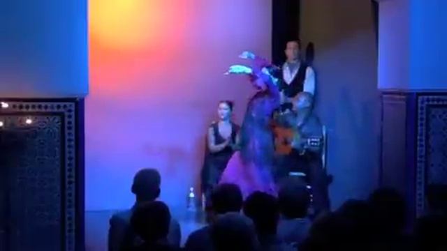 SPECTACLE FLAMENCO SEVILLÉ смотреть онлайн