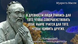 Конфуций Запрещенные Цитаты которые стоит помнить Мудрость меняющая жизнь