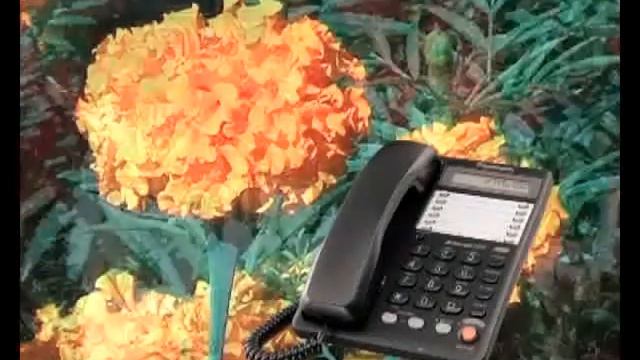 Аритмия,+запоры,+пониженное+давление,мало+энергии,+шум+в+ушах +Помог+ТУИ+из+Суперздоровье 1 смотреть онлайн