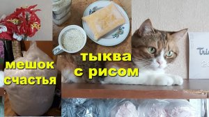 Купила наполнитель! Много! Тыквенная каша. Кошечка моя))) Вяжу, вяжу.