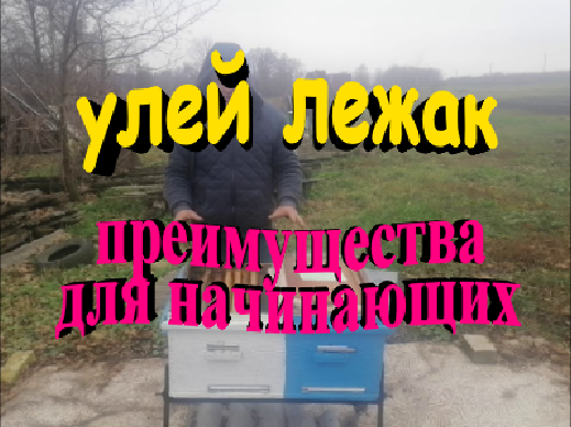 Улей лежак преимущества для начинающих пчеловодов