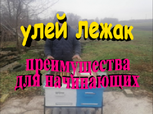 Улей лежак преимущества для начинающих пчеловодов