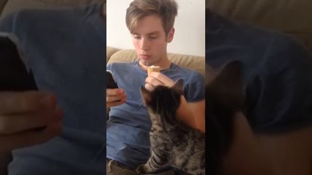 С маленькими нужно делиться смотреть онлайн