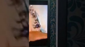 Самолет из фольги!?