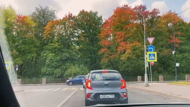 МАТЬ - ЕХИДНА | Беззаботная жизнь 1 раз в неделю смотреть онлайн