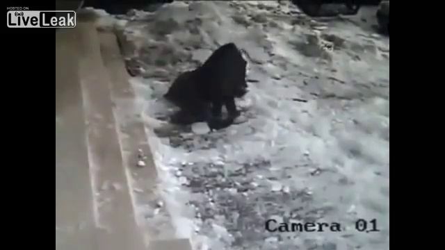 Снег с крыши упал на голову девушке смотреть онлайн