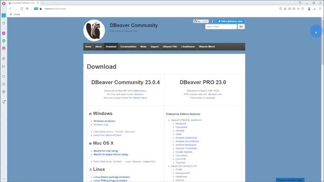 How to install DBeaver 2023 (Windows) смотреть онлайн