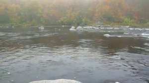 р.Западная Лица