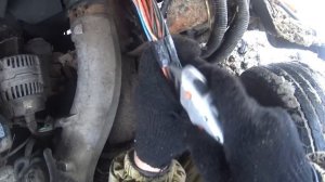 ИВЕКО не заводится