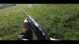 ОХОТА НА ПЕРЕПЕЛА В КЧР В СЕНТЯБРЕ.