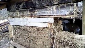 Лёгкий саман(начало)/Сибирь/Алтайский край/Зональный р-н