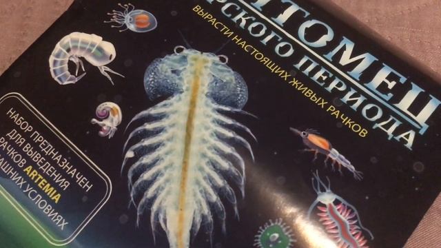 Как ￼Вырастить КРАБОВ ? У СЕБЯ ДОМА ? смотреть онлайн