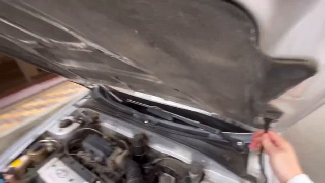 Hyundai Accent смотреть онлайн