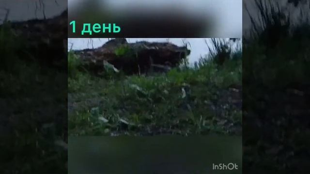 Велозаезд на Бисерово озеро с ночевкой