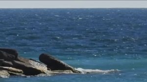 Морской прибой и чайки, расслабляющие звуки морских волн и чаек