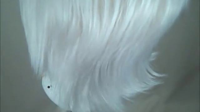 Tutorial: Using a Hair Shaping Razor смотреть онлайн