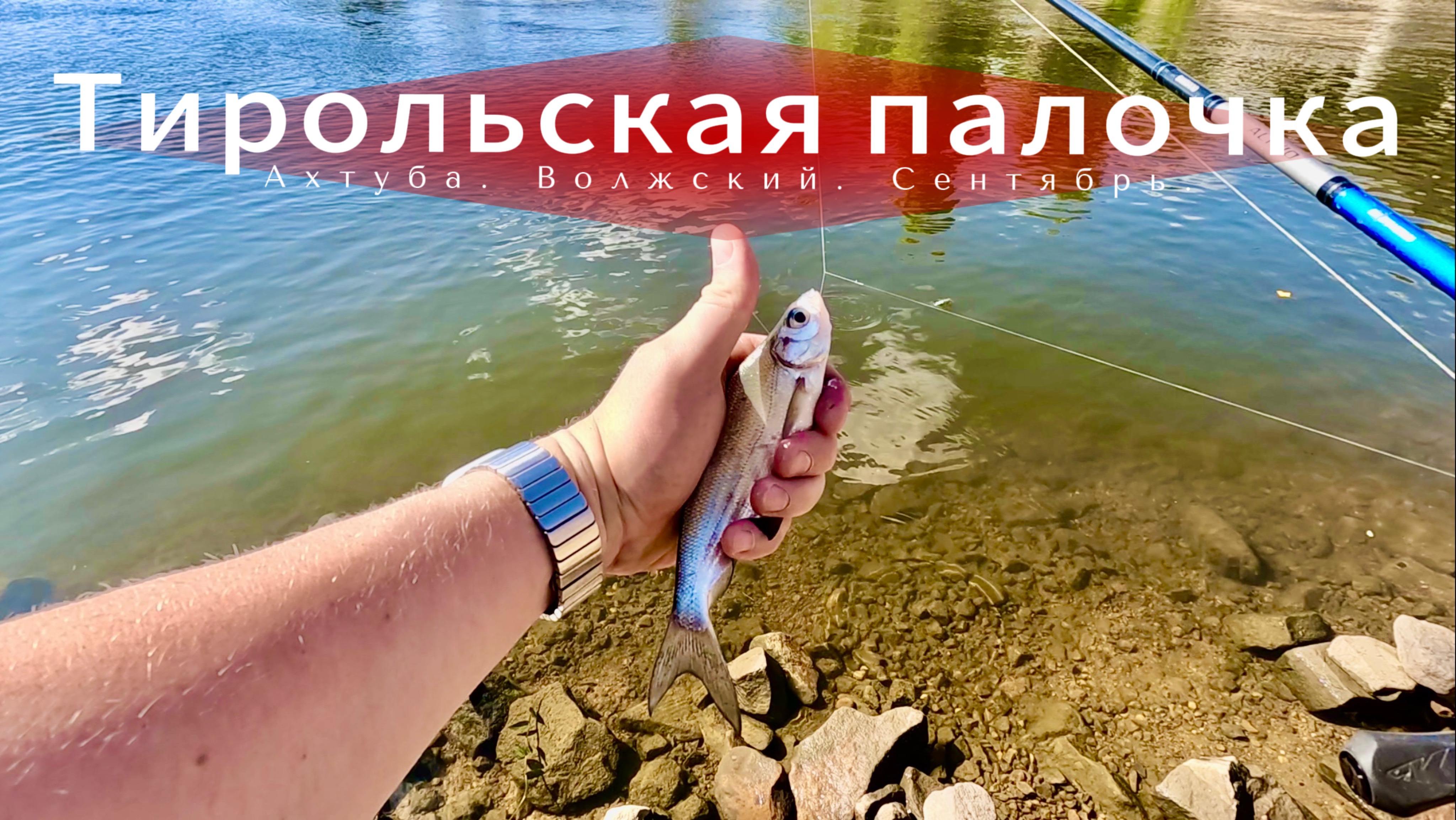 Ловля на тирольскую палочку. Ахтуба. Волжский. Сентябрь. Мой вариант оснастки.