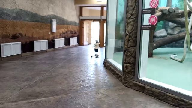 Зоопарк Казань 13 смотреть онлайн