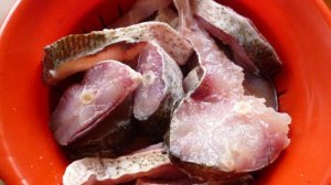 Селедка из толстолоба