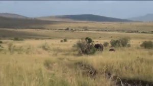 Африка. Экватор. Озеро Виктория. Вулкан Килиманджаро – путешествие по Кении и Танзании. Часть 2.