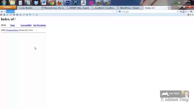 How to set up Wordpress on your localhost (WAMP) смотреть онлайн