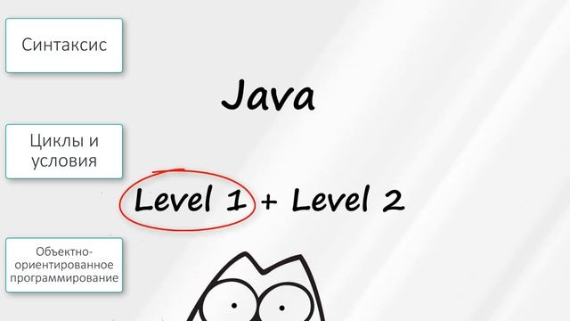 Java с нуля до Junior + Подготовка к собеседованию