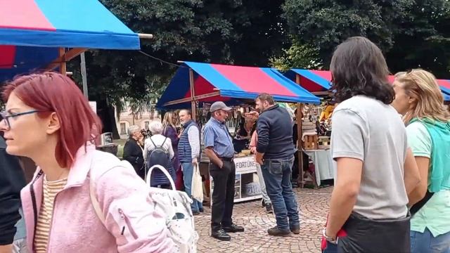 Где взять бесплатно одежду? Ярмарка продуктов. Украинцы в Швейцарии.