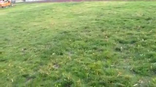 Мой внук катается на моем новом 18" моноколесе Solowheel Xrteme 2kW мощности. смотреть онлайн