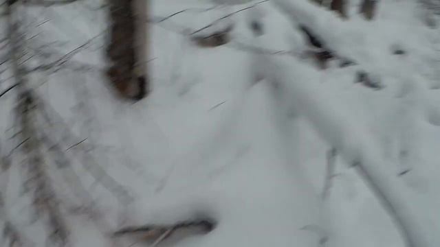 Как охраняется Сузунский заказник! смотреть онлайн