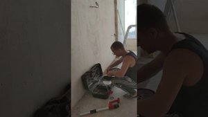 жираф энхель, шлифмашина, прыгает по стене