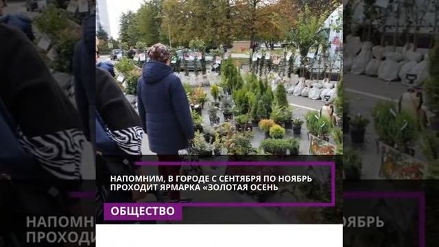 «ЗОЛОТАЯ ОСЕНЬ» ТЕПЕРЬ И В БОБРУЙСКЕ!