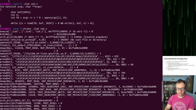 pwn.college - Program Interaction - Linux Process Loading смотреть онлайн