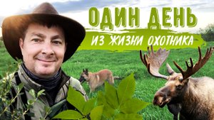 Один день из жизни охотника. Охота на Лося в Калининградской области